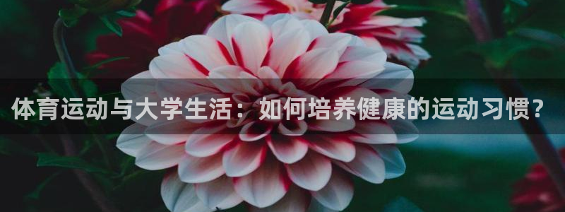 哈哈体育