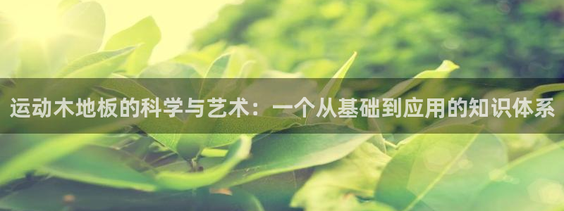 哈哈体育