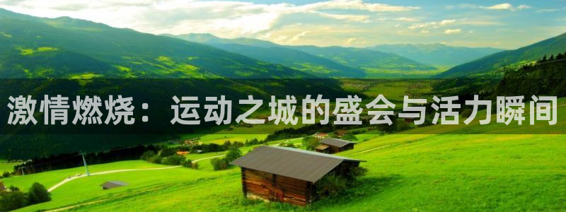 哈哈体育十年