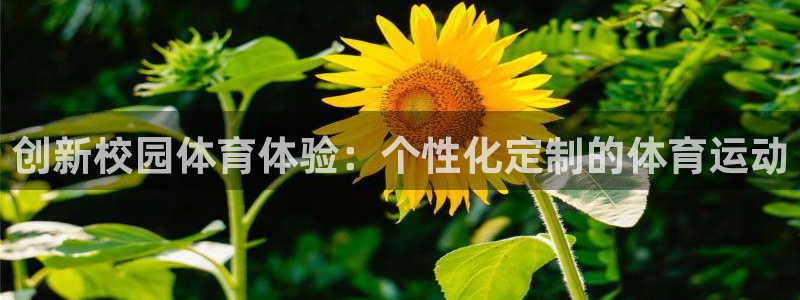 哈哈体育十年