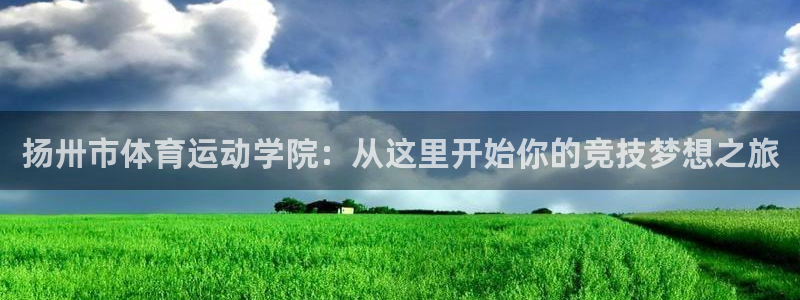 哈哈体育十年