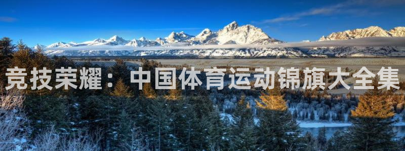 哈哈体育十年：竞技荣耀：中国体育运动锦旗大全集