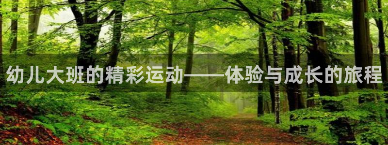 哈哈体育十年：幼儿大班的精彩运动——体验与成长的旅程