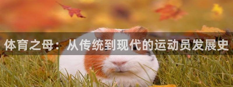 哈哈体育十年：体育之母：从传统到现代的运动员发展史