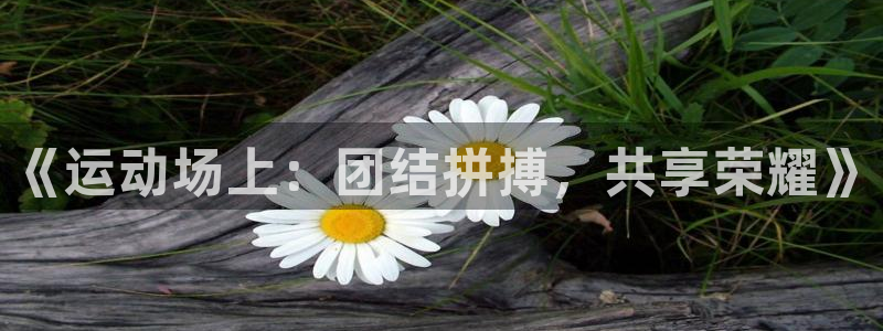 哈哈体育下载