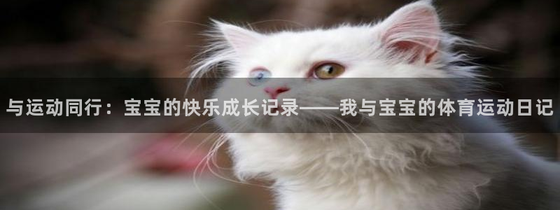 哈哈体育