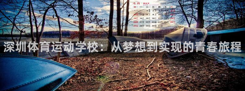 哈哈体育十年