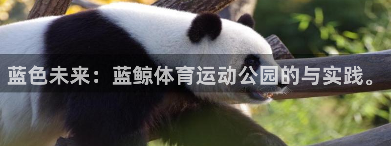 哈哈体育十年：蓝色未来：蓝鲸体育运动公园的与实践。