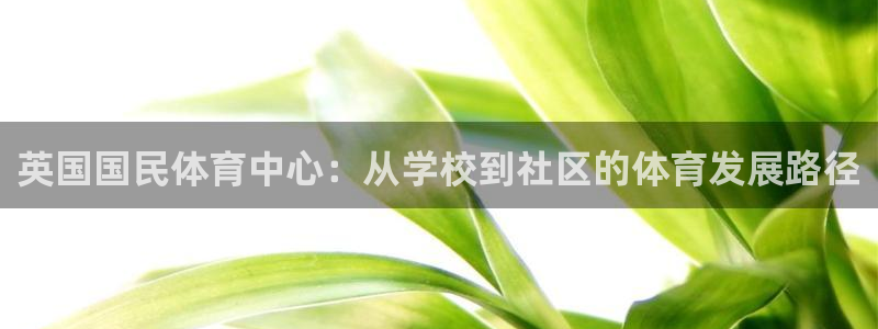 哈哈体育十年：英国国民体育中心：从学校到社区的体育发展路径