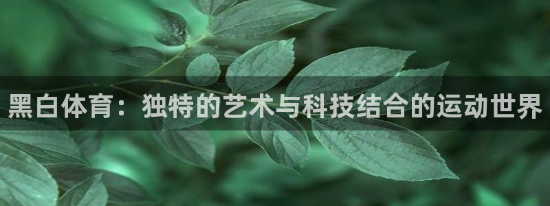哈哈体育：黑白体育：独特的艺术与科技结合的运动世界