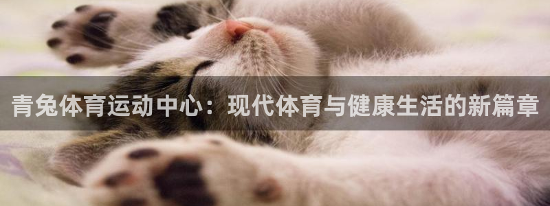 哈哈体育十年：青兔体育运动中心：现代体育与健康生活的新篇章