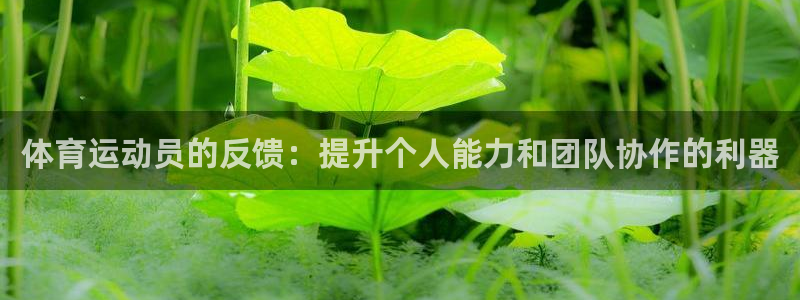 哈哈体育：体育运动员的反馈：提升个人能力和团队协作的利器